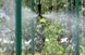 Подвесная установка с клапаном антидренажа Presto-PS с микроджетом Туман (1304) 000024510 фото 10
